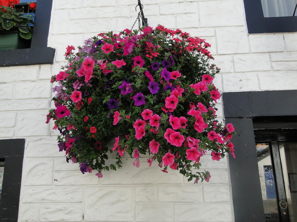 The Red Lion Inn Doune Luaran gambar